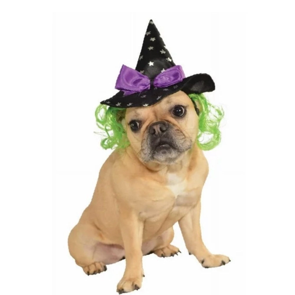 Purple Witch Hat with green hair for Pet Dog or Cat
